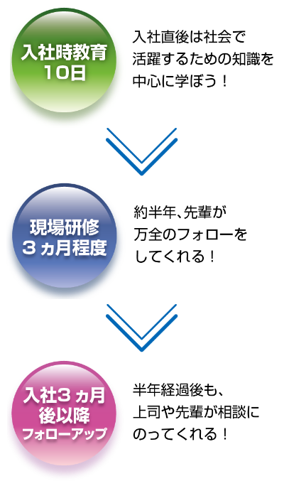 研修フロー